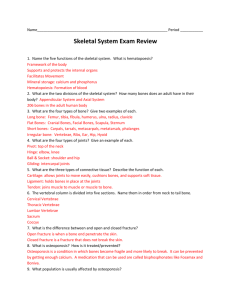 Skeletal System Exam Review
