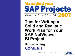 Tips for Writing a Solid and Realistic Work Plan for Your SAP