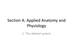 1. The skeletal system