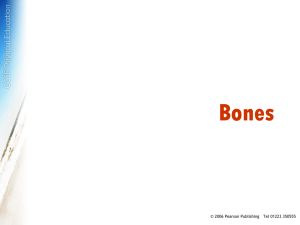Bones - Pearson Publishing