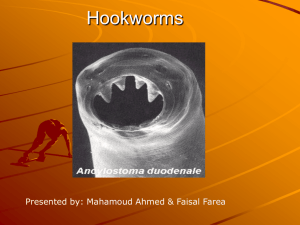 Hookworms - Winona State University