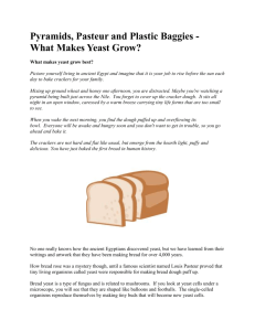 What Makes Yeast Grow? Lab