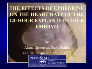 the effects of ephedrine on the heart rate of the 120 hour explanted