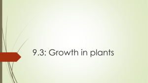 9.3 Plant growth
