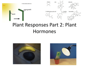 Plant Responses_Part2PlantHormones_2011