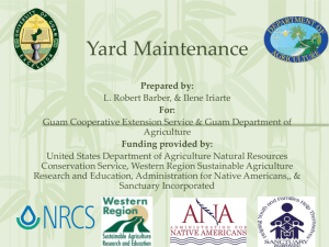 Yard Maintenance Presentation - Guam Sustainable Agriculture