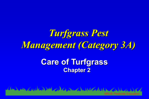 Care of Turfgrass