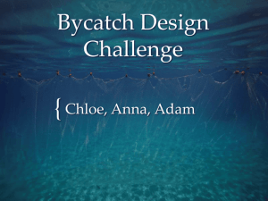 Bycatch Design Challenge