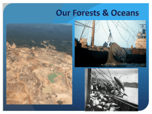 Our Forests & Oceans