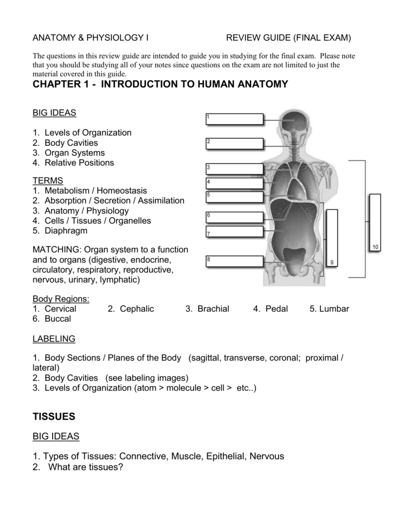 biology 3 final exam review guide answers