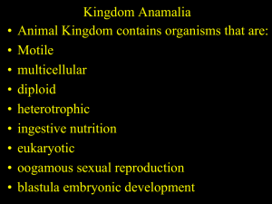 Kingdom Anamalia