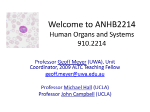 ANHB2214 Introduction 2009