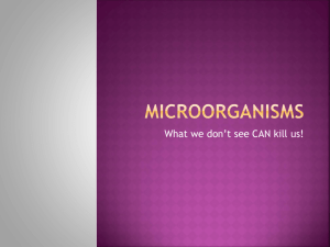 Microorganism Types
