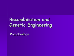 Recombination and Genetic Engineering