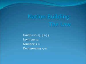 PPT Nation Building & The Law