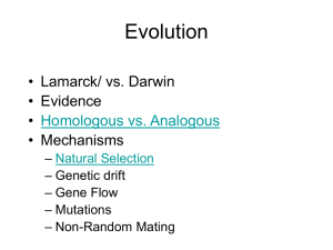 Evolution - gloriousbiology