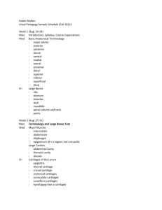 Vocal Ped Course Outline