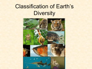 Classification - OG