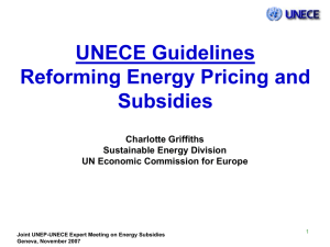 UNECE Guidelines for Reforming Energy Pricing and