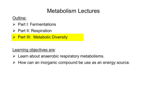 Metabolic Diversity Lecture