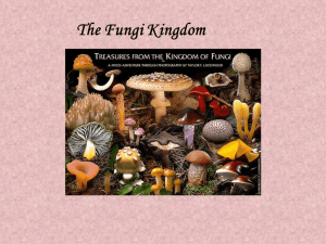 Fungi & Lichens - Winston Knoll Collegiate