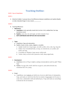 EDU 314 Lesson Plan in EEI format(1)