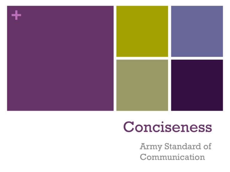 conciseness-wordpress