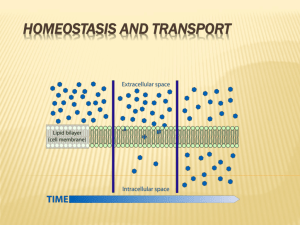 Homeostasis and transport notes