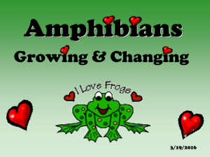 “Froggy” Book Titles Leaping Links!