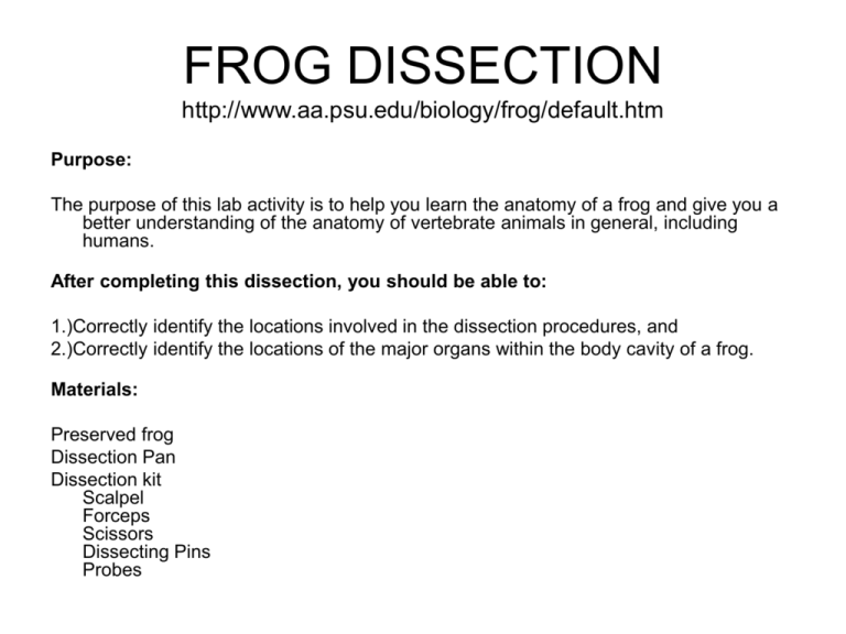 FROG PPT