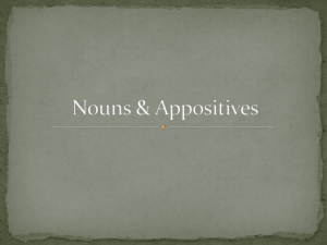 Nouns & Appositives - St. Mary's Elementary School
