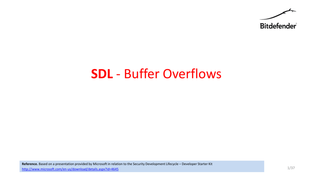 sprintf buffer overflow