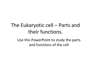 The Eukaryotic cell * Parts and their functions.