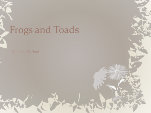 Slide 1 - Frogs-ToadsPennsylvania