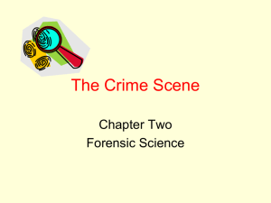 The Crime Scene