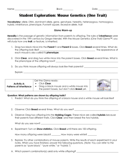 Student Exploration Vectors Answers Axostechcom Induced Info