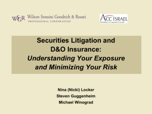 Presentation - Securities Litigation and D&O Insurance
