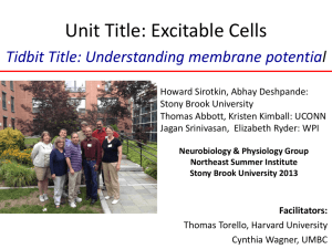 Understanding Membrane Potential (PowerPoint) Northeast 2013