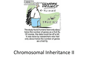 chromosomal inheritance II