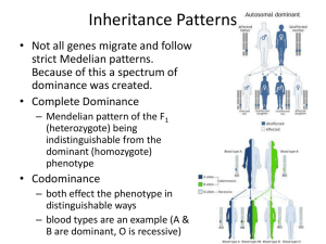 nheritance Patterns