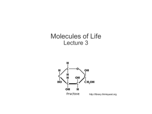 lecture 3, molecules of life, 022409