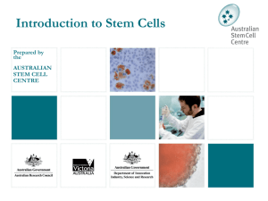 Introduction to Stem Cell PowerPoint Presentation