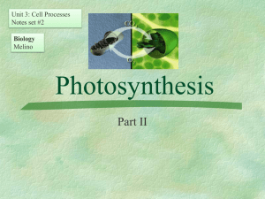 3 Photosynthesis PART II
