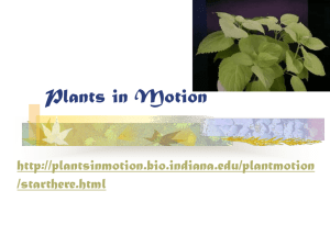 Plants in Motion - GK