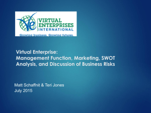 Marketing Plan - Virtual Enterprises International