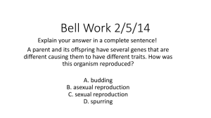 Bell Work 2/5/14