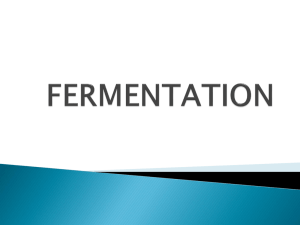fermentation - Mitcon Bio Pharma