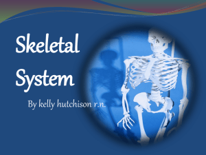 Skeletal system - Harpeth High School Health Science