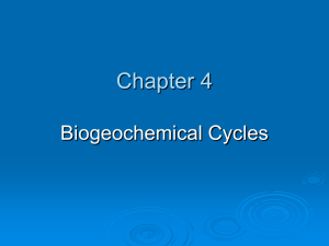 Chapter 3 - Bulldogbiology.com