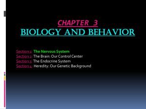 Chapter_3_PowerPoint